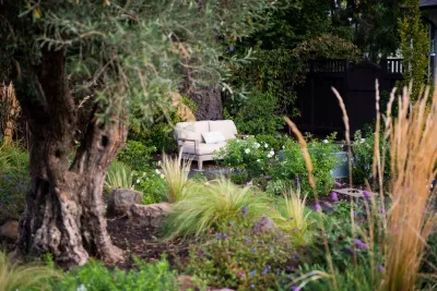 Michael Tebb Design - Patio Design & Installation in Alamo, CA