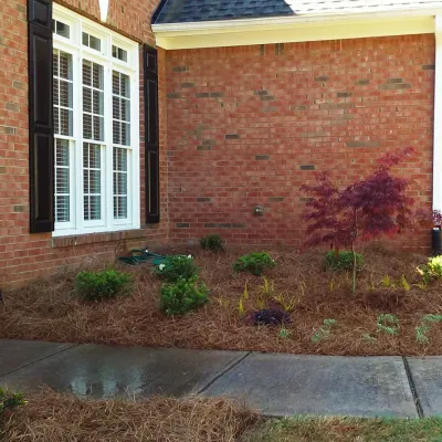 Cole Project by Michaelangelo's Sustainable Landscape & Design