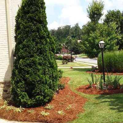 Shetty Project — Landscape Design project by Michaelangelo's Sustainable Landscape & Design in Alpharetta