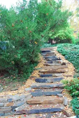 Outdoor Home Improvement — Design-Build Services project by Robertson Renovations Inc