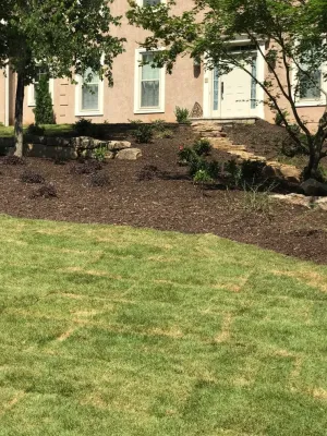 Nuckols Yard by Michaelangelo's Sustainable Landscape & Design