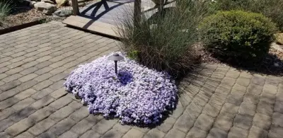 Let It Fly Backyard Living - Landscape Construction in Fort Mill, SC