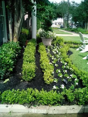 Roblero Landscaping - Lawn Aeration in Houston, TX