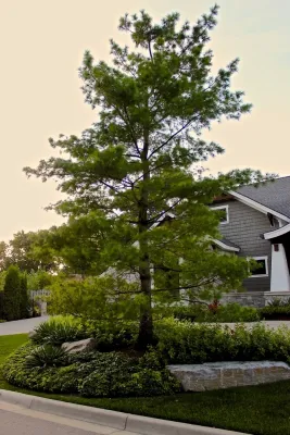 Urban Ranch Private Residence — Landscape Design project by R.Youngblood & Co. in Rochester