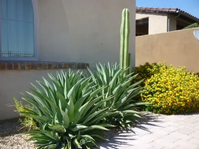 MTH Design Group - Landscape Design in Phoenix, AZ
