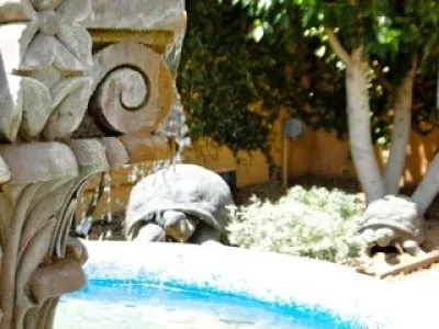 Nanette Injeski Land Design LLC - Landscape Design in Phoenix, AZ