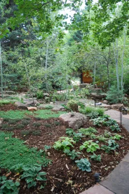Native Edge Landscapes - Garden Remodeling in Boulder, CO