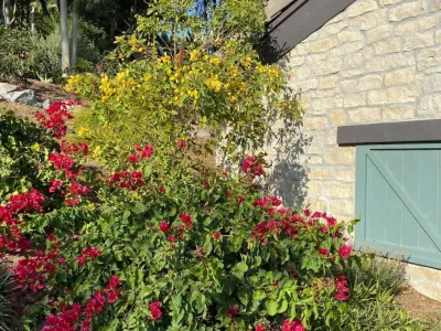 Fairbanks Ranch Landscape Architect and Design — Landscape Design project by Nick Martin Landscape Architect Inc.