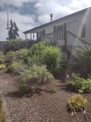 Sanchez Landscaping LLC - Landscape Maintenance in Poulsbo, WA