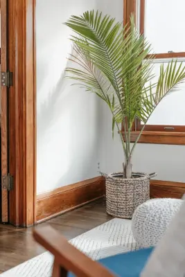Reside - Architectural & Building Design Services in Edina, MO
