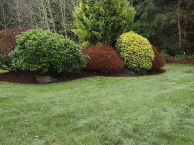 Sanchez Landscaping LLC - Landscape Maintenance in Poulsbo, WA
