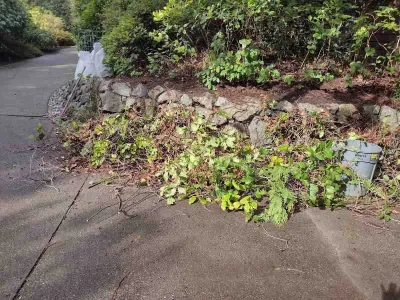 Sanchez Landscaping LLC - Landscape Maintenance in Poulsbo, WA