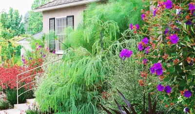 Paradise Gardens Landscape Design Inc - Landscape Design in Los Angeles, CA
