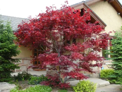 Pendleton Design Management - Outdoor Lighting Installation in Sandy, UT