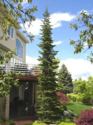 Pendleton Design Management - Outdoor Lighting Installation in Sandy, UT