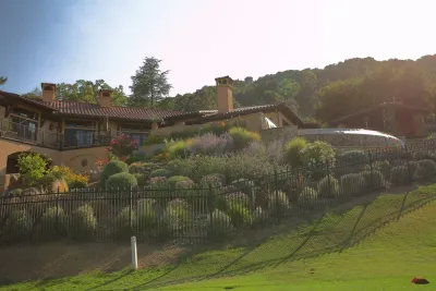 Peter Koenig Designs - Landscape Design in Alamo, CA