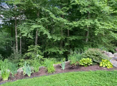 Plant Group - Drought-Resistant Lawn Installation in New York, NY
