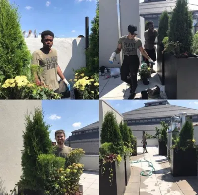 Plant Group - Drought-Resistant Lawn Installation in New York, NY