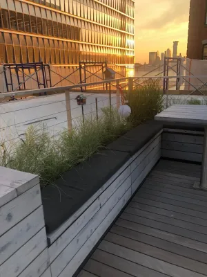 Plant Group - Drought-Resistant Lawn Installation in New York, NY