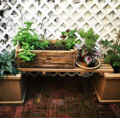 Plant Group - Drought-Resistant Lawn Installation in New York, NY