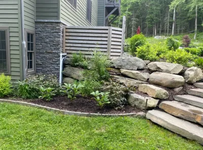 Plant Group - Drought-Resistant Lawn Installation in New York, NY