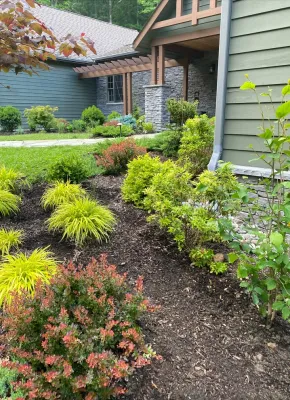 Plant Group - Drought-Resistant Lawn Installation in New York, NY