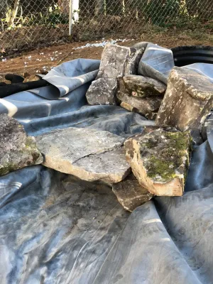 Backyard water feature, how to use the lay of the land to your advantage! by Plant Man