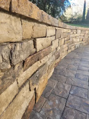 Pavestone Patio and Retaining Wall — Landscape Design project by Plant Man