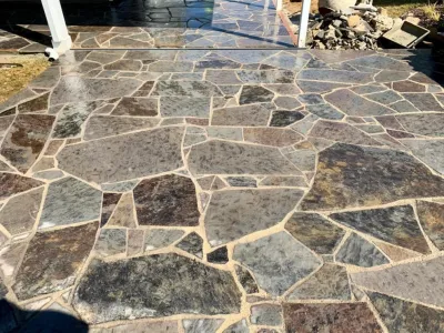 Operation disaster averted! — Landscape Design project by Plant Man