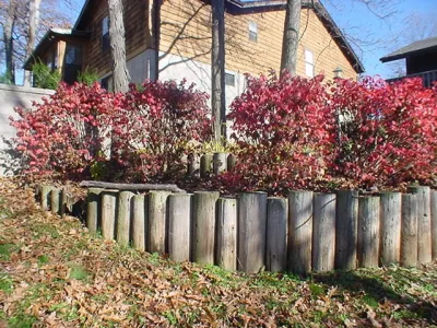 Landscape Design St Louis - Landscape Maintenance in Kirkwood, IL