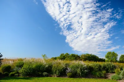 Sargent's Gardens - Tree & Shrub Care in Rochester, MN