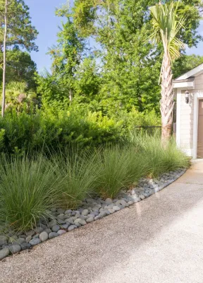 Mt. Pleasant, Backyard Upgrade by Remark