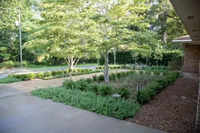 Remark - Outdoor Lighting Installation in Charleston, SC
