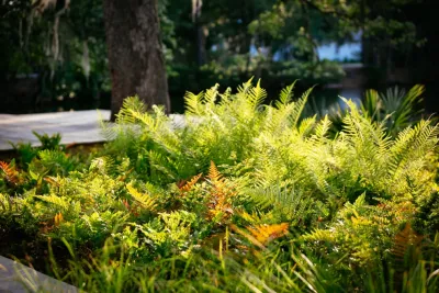 Remark - Outdoor Lighting Installation in Charleston, SC