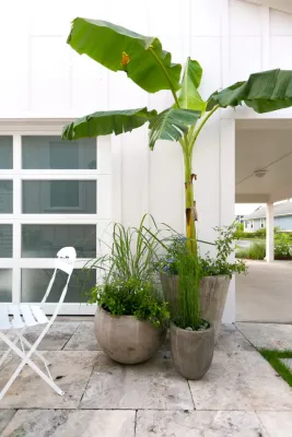 Park Circle Residence — Landscape Design project by Remark in North Charleston