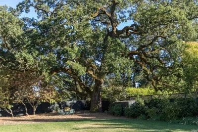 Rollin Landscape Design - Outdoor Lighting Installation in Sonoma, CA