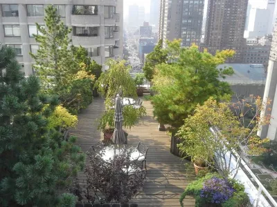 Columbus Circle Rooftop — Landscape Design project by Root & Vine Gardens in New York