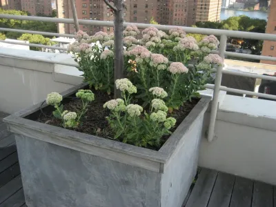 Lower East Side Rooftop Garden — Landscape Design project by Root & Vine Gardens in New York