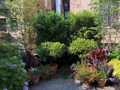 Upper East Side — Landscape Design project by Root & Vine Gardens in New York