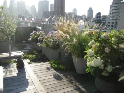 Root & Vine Gardens - Garden Remodeling in Astoria, NY