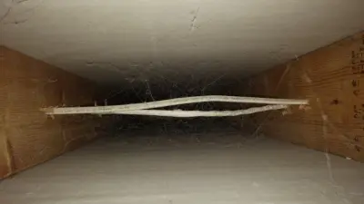 Cleaner Air Solutions LLC - Handyman Services in Janesville, MN