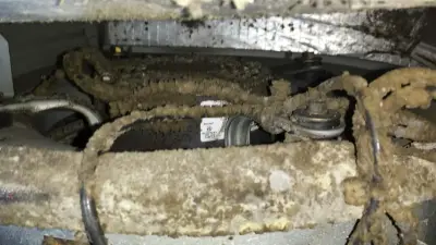 Evan's Heating & Air LLC - Air Duct Cleaning Services in Ruther Glen, VA