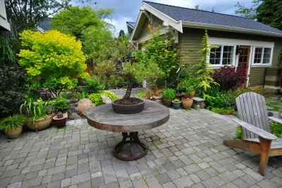 Craftsman Maple Garden - (Seattle, WA) — Landscape Design project by Sage And Stone LLC in Seattle