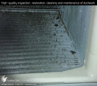 Dustless Duct - Air Duct Cleaning Services in Baltimore, MD