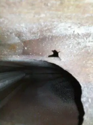 Jerry Kelly Heating & Air Conditioning - Air Duct Cleaning Services in Saint Charles, MO