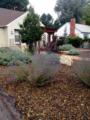 Boise Bench Ultra Low Maintenance by Stack Rock Group - Landscape Architecture