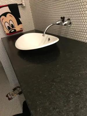 Disney-Themed Restroom — Kitchen Remodeling project by Classic Marble & Stone