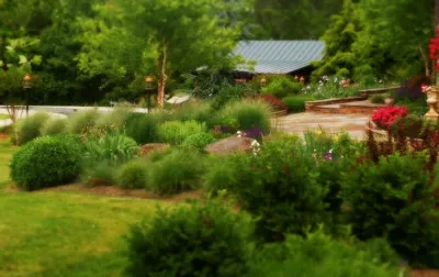 Rochelle, VA #1 by Sunny Pond LLC