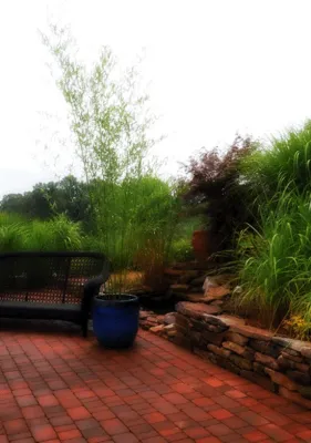 Rochelle, VA #3 — Landscape Design project by Sunny Pond LLC in Rochelle
