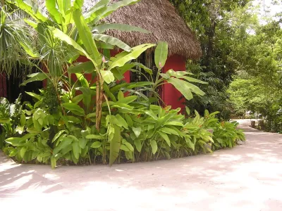 Sylvia's Landscaping Company, LLC - Patio Design & Installation in Winnetka, IL